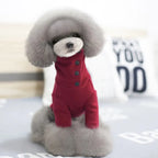 Roupas de Outono Inverno para Cães de Raças Pequenas (Quentes e Casuais)