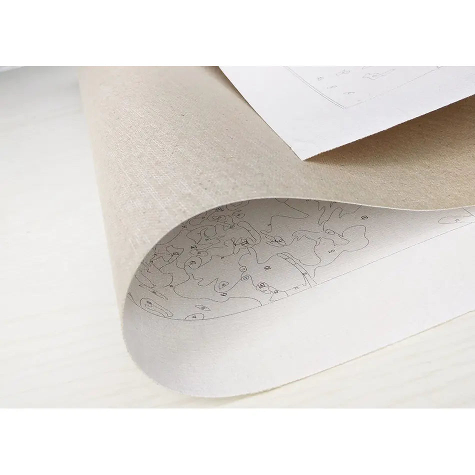 Pintura por Números Floral DIY - Design de Três Flores