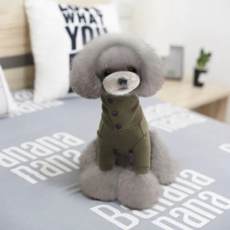 Roupas de Outono Inverno para Cães de Raças Pequenas (Quentes e Casuais)