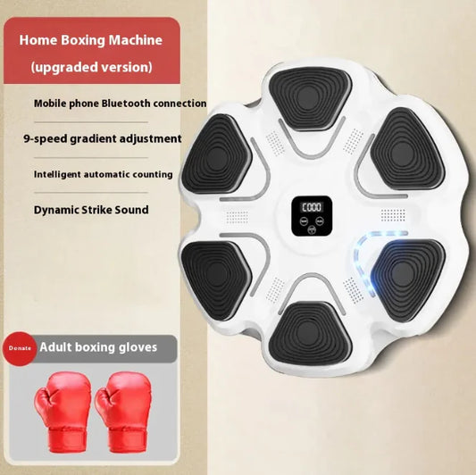 Alvo Inteligente de Boxe